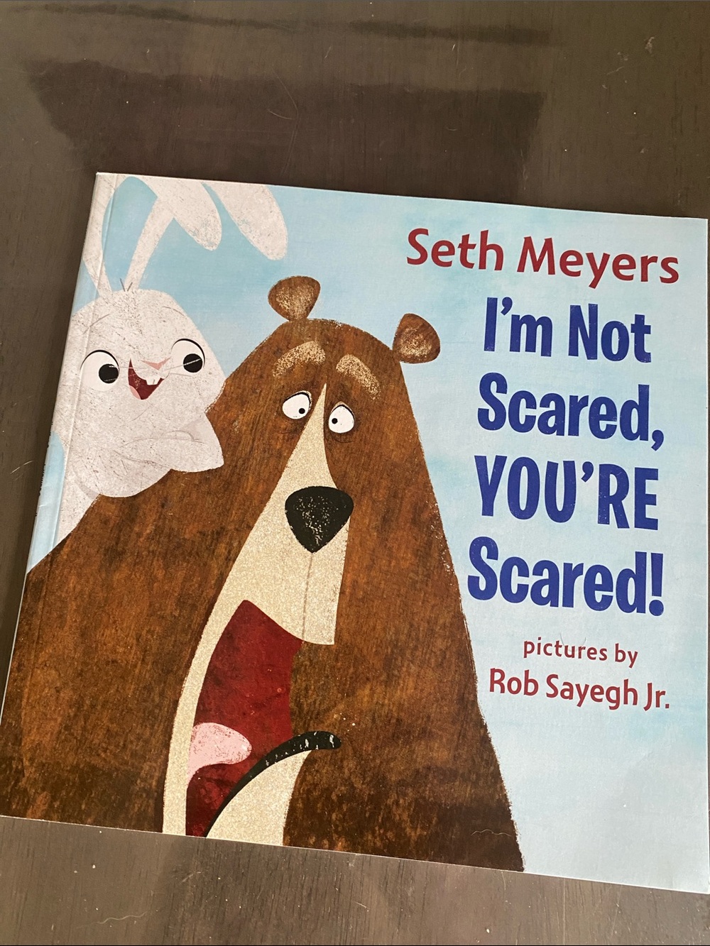 Seth Meyers Storybook I’m not Scared You’re Scared bear with anxiety
